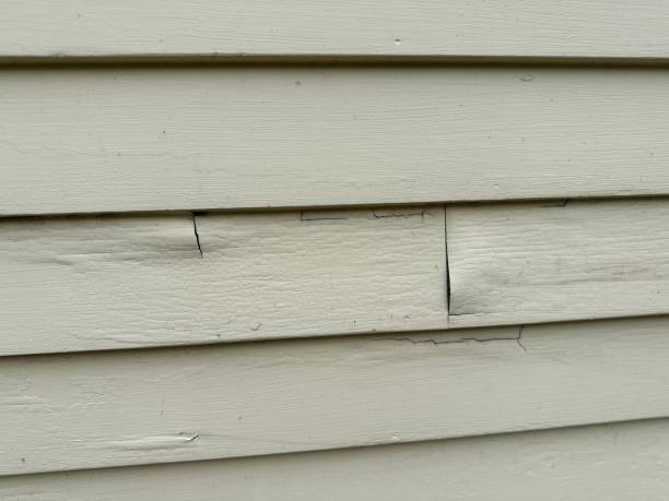 Best Construction Debris Removal  in Bala Cynwyd, PA